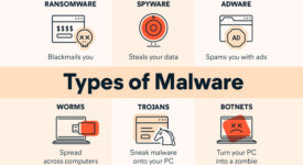 The Top Types of Malware You Need to Know