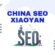 China SEO Xiaoyan: Expert Tips for Higher Rankings