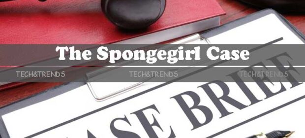 Key Evidence in the Spongegirl Case